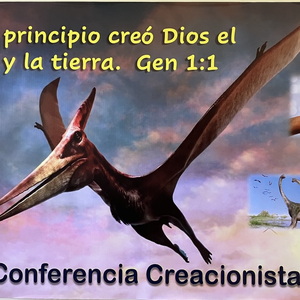 Creation Conference Feb 2025